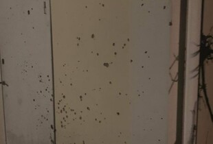 На Черкащині затримали нападника, який підірвав гранату у дворі приватного будинку