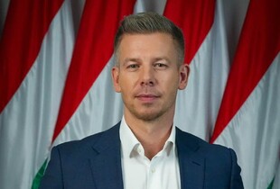 Мадяр висловився про викрадені золото і гроші 