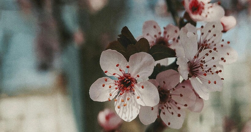 Дощі та штормовий вітер: в Україні 23 квітня погіршиться погода