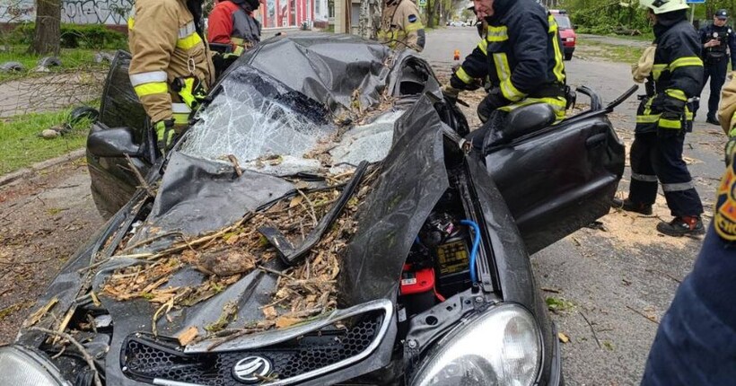В ДСНС повідомили про наслідки негоди за добу (фото)