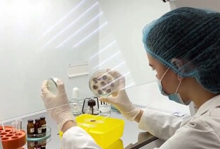 Двічі релокований Луганський медуніверситет відзначив 70-річчя