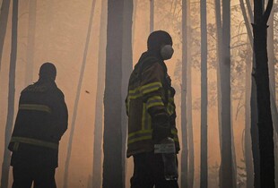 У Зоні відчуження лісова пожежа розрослась до понад 1100 га