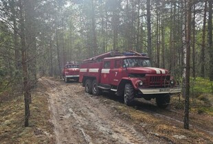 На Житомирщині локалізували масштабну пожежу у Поліському заповіднику