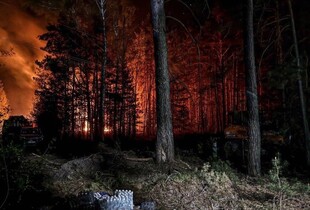 В Чорнобильській зоні пожежа охопила вже 1200 га