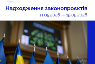 Верховна Рада підтримала законопроєкт про проходження ВЛК для іноземців-контрактників у ЗСУ