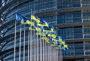 ЄС має змінити систему вступу, щоб врахувати інтереси України - єврокомісарка Кос