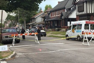 В США на фестивалі сталася стрілянина, внаслідок якої поранення отримали щонайменше 12 осіб