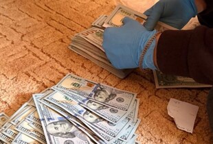 Фіктивний шлюб для виїзду за кордон за €50 000: на Київщині викрили схему