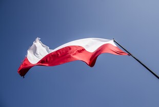 Орден Білого Орла: Капітула нагороди передала Навроцькому висновок щодо Зеленського