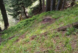 Поблизу кордону з Румунією прикордонники виявили тіло людини