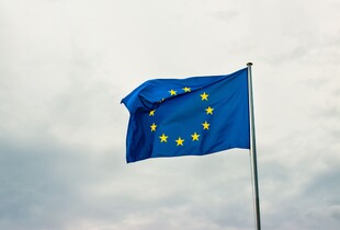 Україну включили в Резерв кібербезпеки ЄС: країна отримає екстрену допомогу проти хакерів