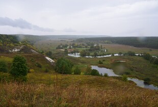 Військові оцінили шанси росіян звести переправу через річку Вовча