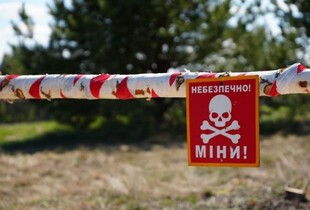 На Миколаївщині розмінували понад 700 000 га земель - Кім