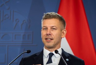 Угорщина не підтримала обмеження тимчасового захисту для українських чоловіків в ЄС