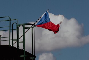 Чехія виділить кошти на PURL: уряд Бабіша змінив позицію