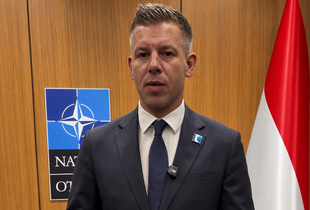 Прем'єр Угорщини домовився про зустріч з Зеленським: що відомо