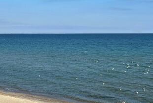 На Одещині знайшли тіло 10-річної дівчинки, яку віднесло в море на надувному колі