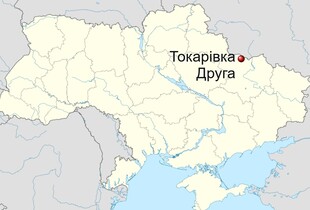 Окупанти FPV-дроном вбили останню мешканку Токарівки Другої