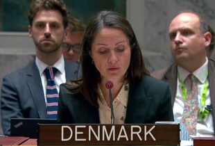 Данія в ООН відповіла на заяви рф про 