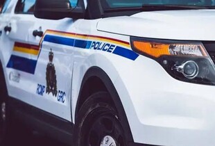 В Торонто на вуличному фестивалі двоє осіб влаштували стрілянину: є загиблі і поранені