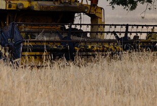 В росії дефіцит пального поставив під загрозу жнива - СЗР