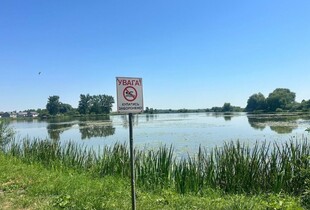 На Харківщині у водоймі загинула 11-річна дівчинка