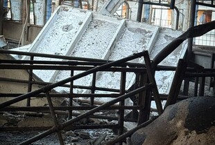 Окупанти атакували БпЛА ферму з виробництва молока на Сумщині: загинули корови
