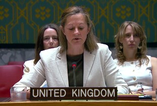 росія прагне поставити знак рівності між агресією та самообороною України - Британія в ООН