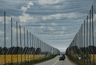 Уряд спрямував 70 млн грн на антидроновий захист на вулицях Сум