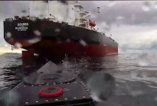 Сили оборони потопили підсанкційний контейнеровоз рф Yanina (відео)