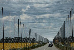 В Україні з початку року облаштували понад 1180 км антидронового захисту доріг - Міноборони