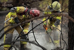 Українські рятувальники вже гасять масштабні лісові пожежі у Франції: перші кадри