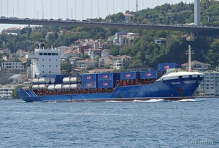 Туреччина закликала Україну та росію убезпечити судноплавство в Чорному морі