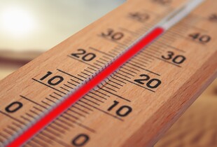 Пік спеки в Україні: де очікувати +37