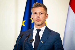 Енергокриза в Угорщині виникла не лише через спеку: Мадяр назвав винуватця
