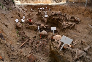 На Волині завершили ексгумацію жертв трагедії 1943 року: знайдено останки 54 людей