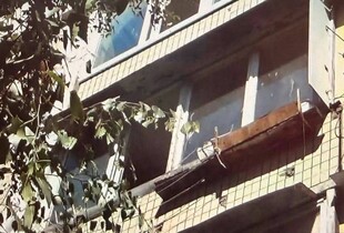 У столиці киянка під час застілля викинула собаку з вікна на четвертому поверсі: їй загрожує до восьми років