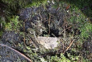 На кордоні Білорусі і Латвії знайшли ще один тунель для мігрантів