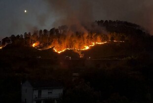 В Європі через лісові пожежі детонують бомби часів Другої світової: де вже були вибухи
