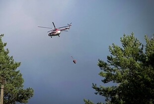 На Київщині для гасіння масштабної лісової пожежі залучили авіацію (фото)