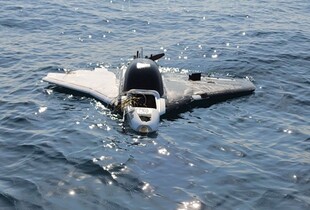 В Болгарії на пляжі та у морі знайшли кілька військових БпЛА