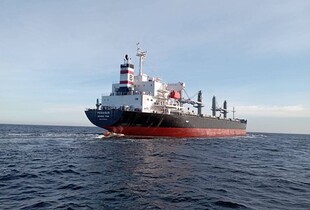 Експорт зерна через Чорне море: Туреччина запропонувала Україні і росії новий план