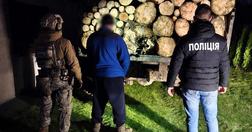 Вирубали заповідний ліс майже на 6 млн грн: поліція викрила злочинне угруповання 