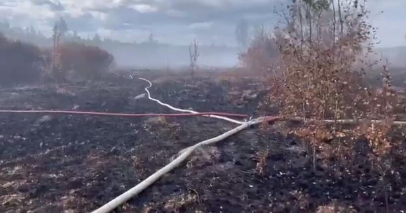 На Івано-Франківщині гасять масштабну пожежу торфу - деталі від ДСНС