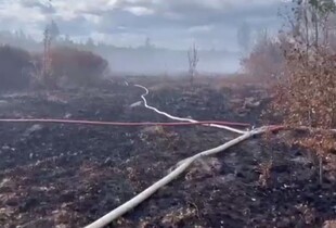 На Івано-Франківщині гасять масштабну пожежу торфу - деталі від ДСНС