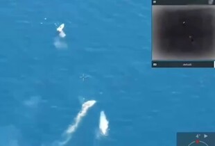 У Чорному морі відбувся перший в історії бій морських дронів: переміг український (відео)