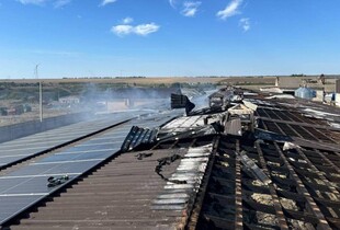 Росіяни вдарили по птахофермі на Одещині: частина свійської птиці загинула