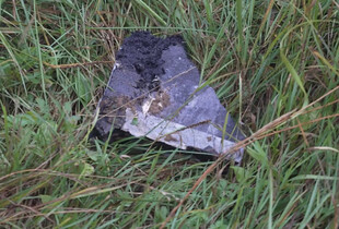 У Литві на місці падіння дрона виявили вибухівку - її вже знешкодили