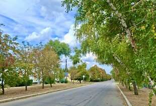 Водії самі роблять дірки в антидронових сітках на Запоріжжі: як влада вирішуватиме цю проблему