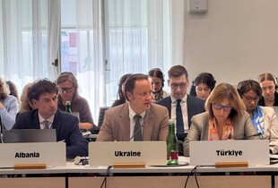 ОБСЄ провела термінове засідання щодо гуманітарної ситуації в Олешках – Сибіга